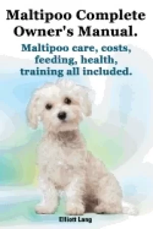 Image of maltipoo complete owners manual maltipoos facts and information maltipoo ca