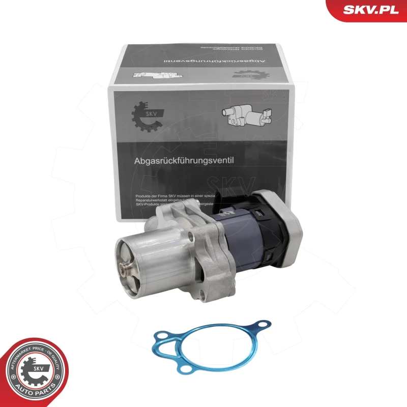 Image of ESEN SKV EGR valve ESEN SKV 14SKV305