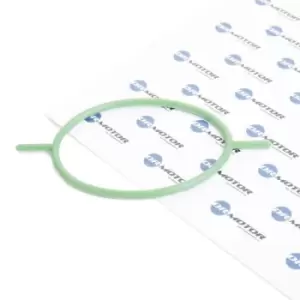 Image of DR.MOTOR AUTOMOTIVE Gaskets DRM0349 Gasket, vacuum pump FORD,Focus II Schragheck (DA_, HCP, DP),MONDEO IV Turnier (BA7),Focus II Kombi (DA_, FFS, DS)