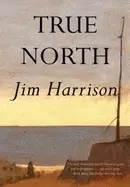 Image of true north