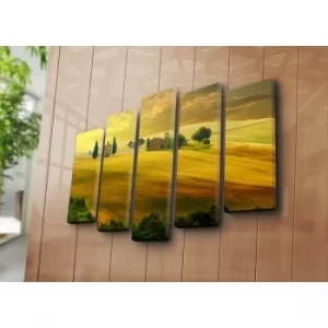 Image of 5NATPAT-45 Multicolor Decorative Canvas Painting (5 Pieces)