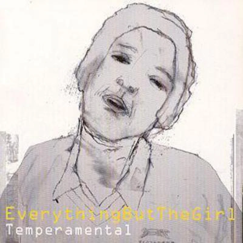 Image of RecordCityJP CD EVERYTHING BUT THE GIRL Temperamental CDV2892 Virgin 1999 Europe Dance Electronica Used
