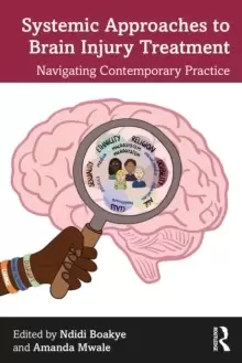 Image of Systemic Approaches to Brain Injury Treatment : Navigating Contemporary Practice