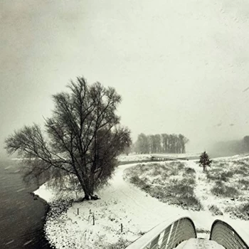 Image of Beequeen - Winter Vinyl