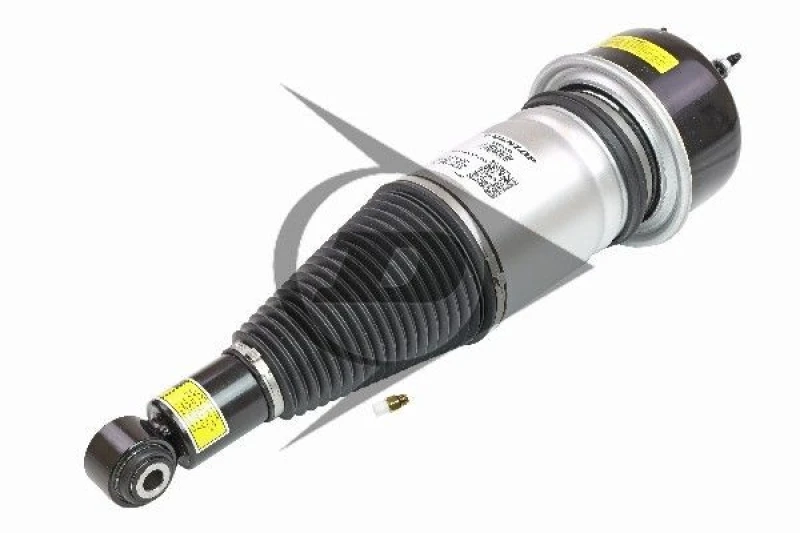 Image of Air suspension strut Dunlop Airsuspension 71118