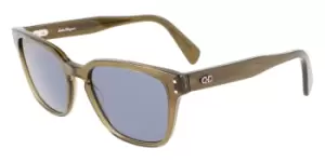 image of Salvatore Ferragamo Sunglasses SF 1040S 320