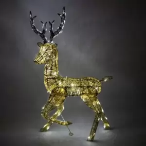Image of Light-Up Reindeer Gold Stag 120cm - Gold