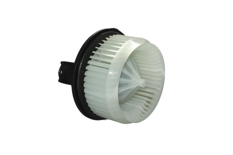 Image of Blower motor WALKER WBL00928