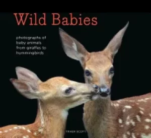 Image of wild babies photographs of baby animals from giraffes to hummingbirds