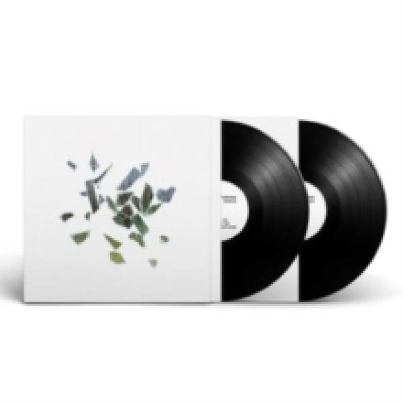 Image of Field of Reeds (10th Anniversary Edition) Vinyl