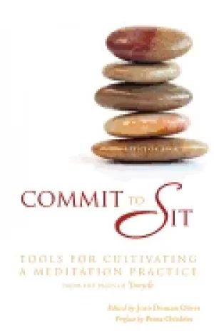 Image of commit to sit tools for cultivating a meditation practice from the pages of