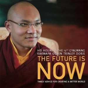 Image of The Future Is Now by His Holiness Gyalwa Karmapa Ogyen Trinley Dorje Book