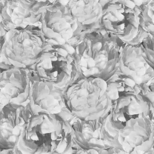 Image of Sublime Posey Sparkle Silver Wallpaper