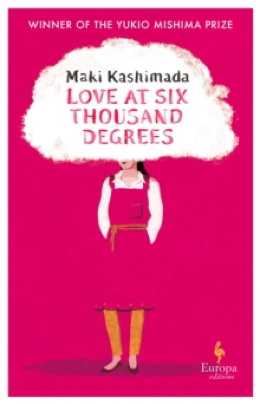 Image of Love at Six Thousand Degrees : A Novel Paperback / softback