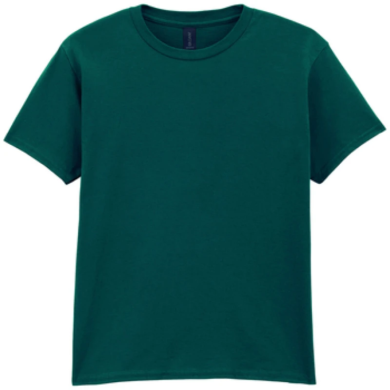 Image of Gildan Softstyle boys's Children's T shirt in Green