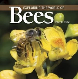 Image of Exploring the World of Bees by Tracy C Read Hardback