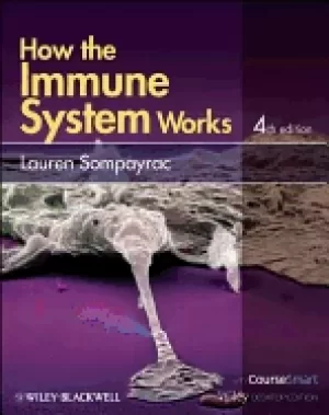 Image of how the immune system works includes desktop edition