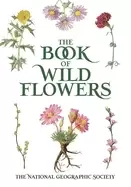 Image of book of wild flowers color plates of 250 wild flowers and grasses