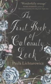 Image of The First Book of Calamity Leek by Paula Lichtarowicz Hardback