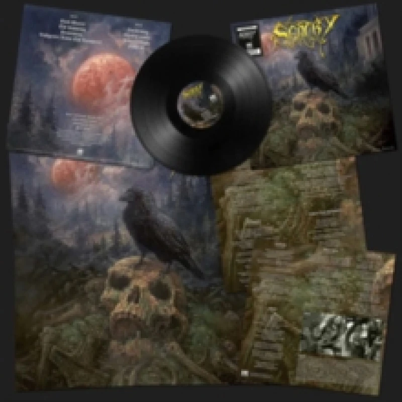 Image of Sentry Sentry LP multicolor Onesize Unisex