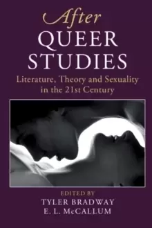 Image of After Queer Studies : Literature, Theory and Sexuality in the 21st Century