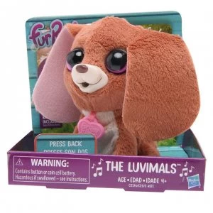 Image of Fur Real 04 - Multi