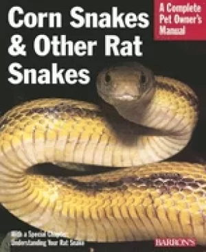 Image of corn snakes and other rat snakes everything about acquiring hosuing health