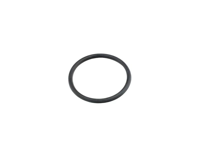 Image of FAST Gasket, thermostat FAST FT49920