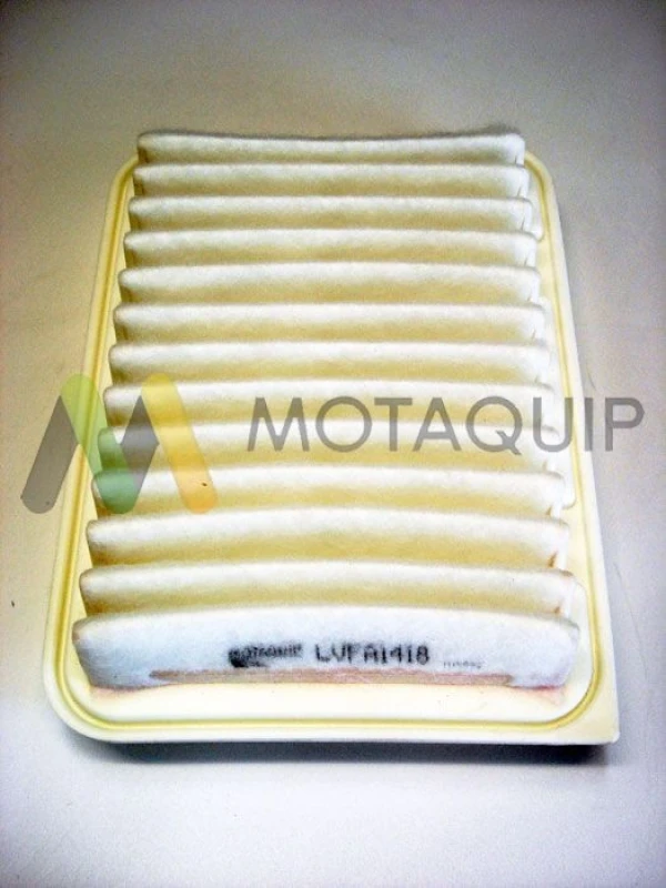 Image of MOTAQUIP Air filter MOTAQUIP LVFA1418