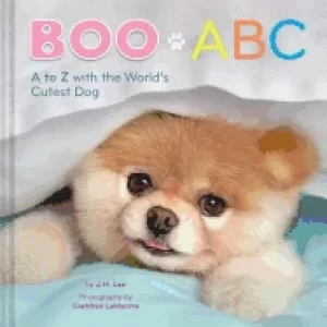 Image of boo abc