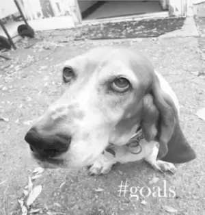 Image of #Goals by #Goals CD Album