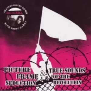 Image of Picture Frame Seduction & True Sound Of The Revolution Skateboarding Down Merlins Hill With Penny Harry CD