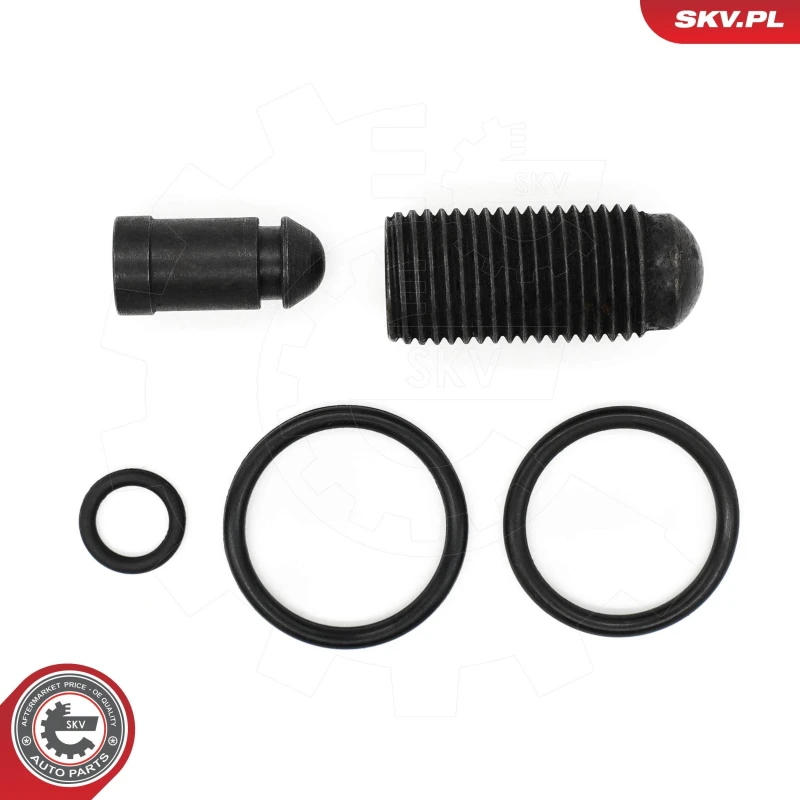 Image of ESEN SKV Repair Kit, pump-nozzle unit ESEN SKV 53SKV198