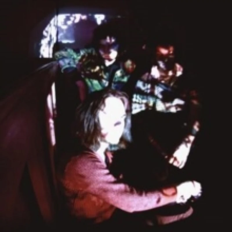 Image of Night Beats Vinyl