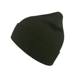 Image of Atlantis Unisex Organic Cotton Beanie (One Size) (Olive)