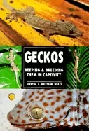 Image of guide to owning geckos