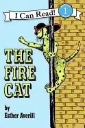 Image of fire cat