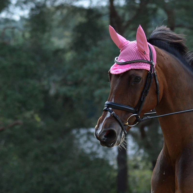 Image of Weatherbeeta Prime Marble Ear Bonnet - Pink Pink Full