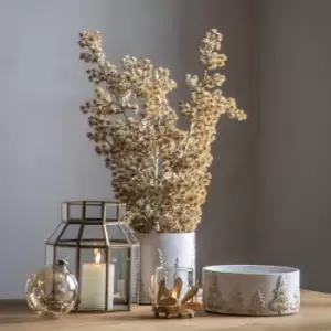 Image of Crossland Grove Potted Cedar Pine Gold H770Mm