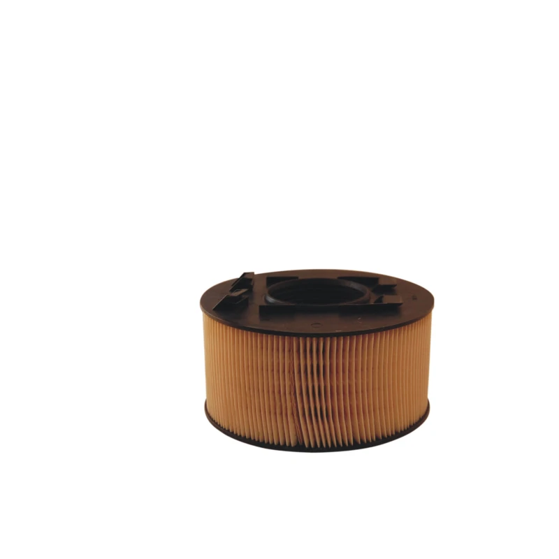 Image of FILTRON Air filter FILTRON AK 362/2