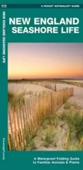 Image of New England Seashore Life : A Waterproof Folding Guide to Familiar Animals & Plants