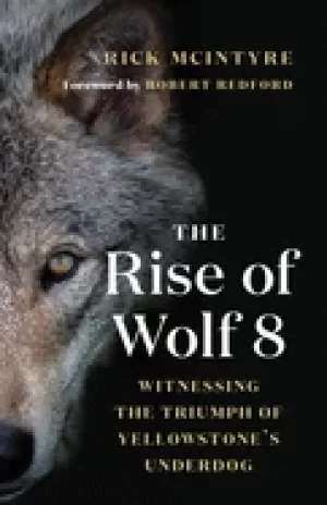 Image of rise of wolf 8 witnessing the triumph of yellowstones underdog