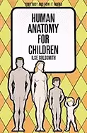 Image of human anatomy for children