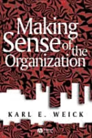 Image of making sense of the organization