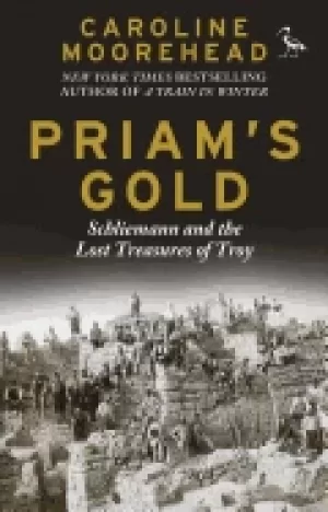 Image of priams gold schliemann and the lost treasures of troy