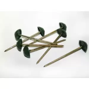 Image of Corrugated Bitumen Sheet Nails - Green - Pk100