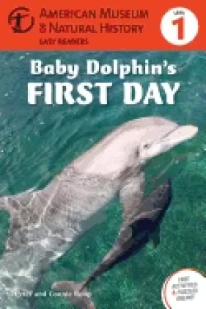 Image of baby dolphins first day