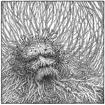 Image of Nemorous - Nemorous Vinyl
