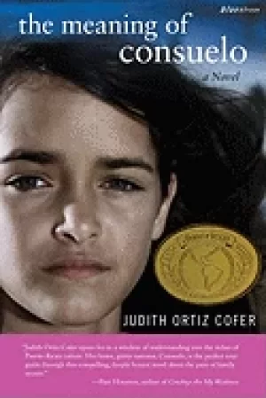 Image of meaning of consuelo a novel