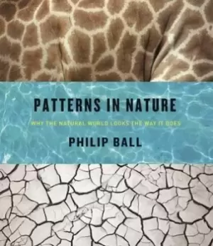 Image of Patterns in Nature by Philip Ball